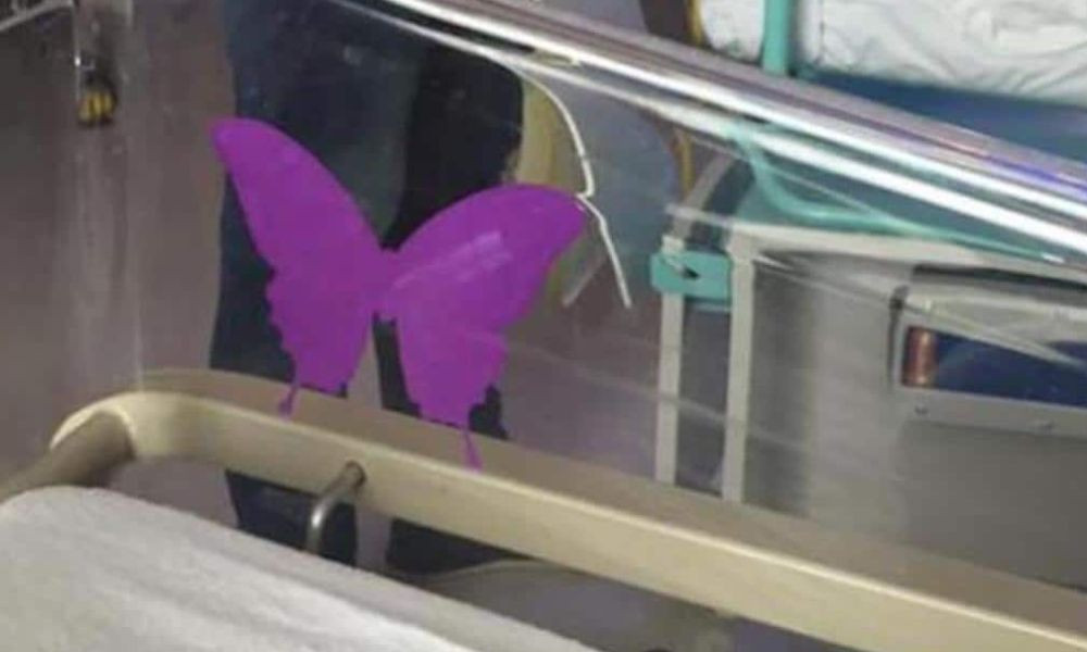 Illustration d'un papillon violet d&eacute;licat pos&eacute; sur une surface douce