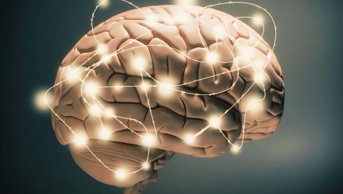 Cerveau en activité représenté par des connexions lumineuses
