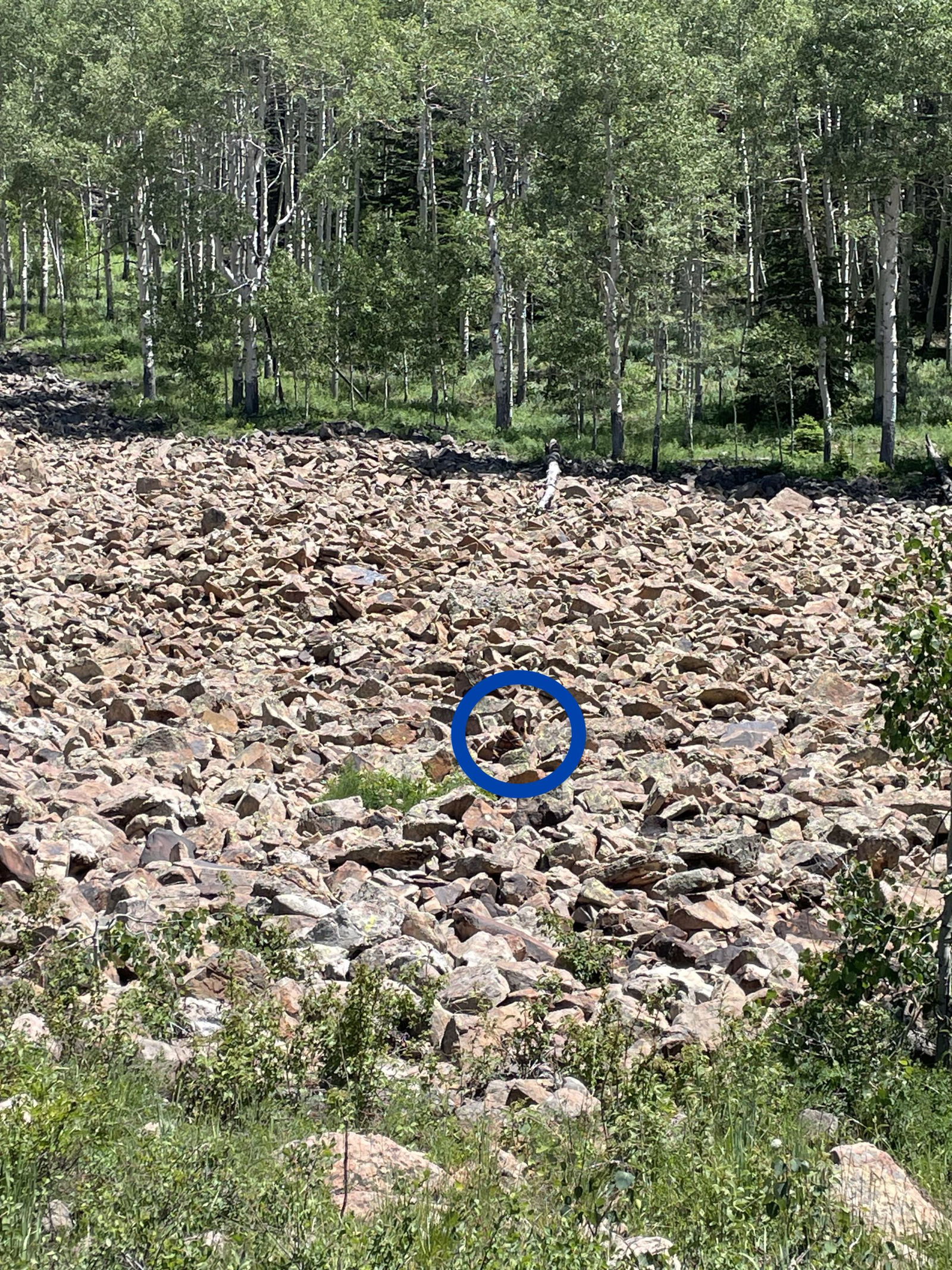 Image du paysage avec la silhouette de la femme mise en &eacute;vidence, solution du d&eacute;fi