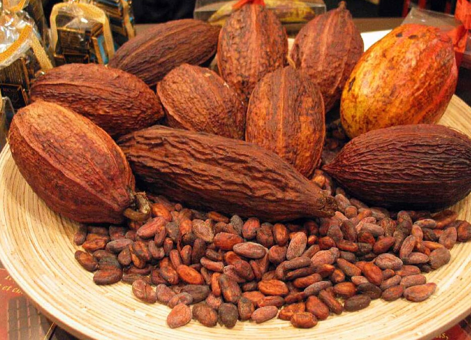 Fèves de cacao
