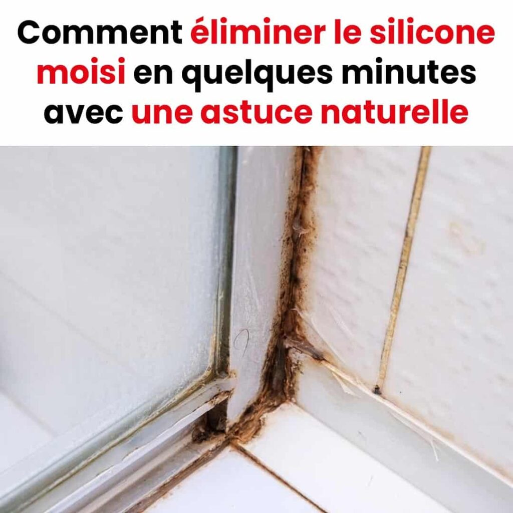 Comment éradiquer la moisissure dans les joints en silicone de votre — free download