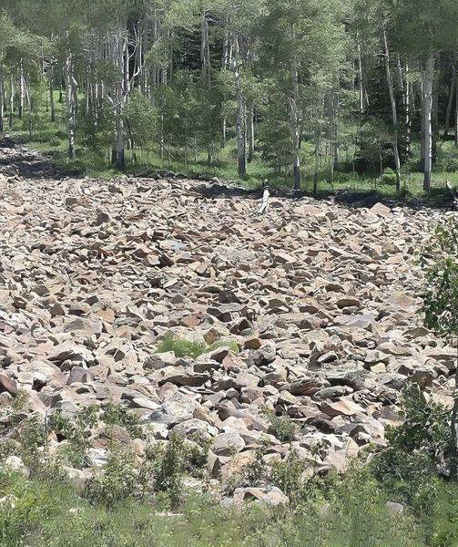 Image d'un paysage rocheux et bois&eacute;, d&eacute;fi visuel pour trouver une femme cach&eacute;e
