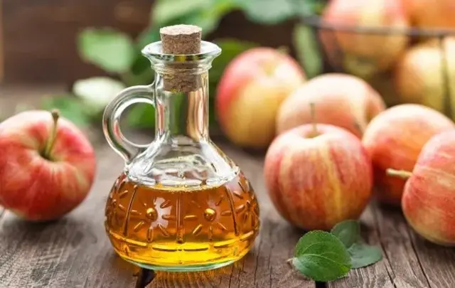 Piège à insectes maison avec vinaigre de cidre