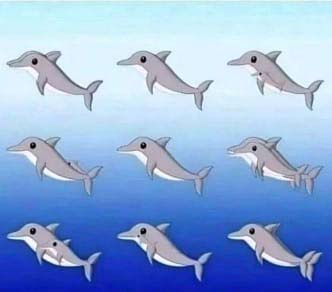 Illustration de dauphins cachés dans les vagues