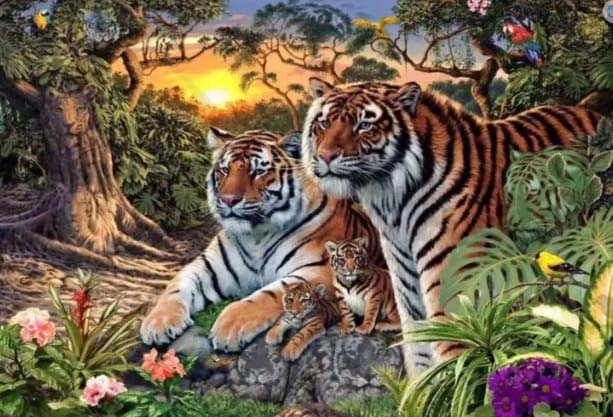 Image de tigres camouflés dans la jungle
