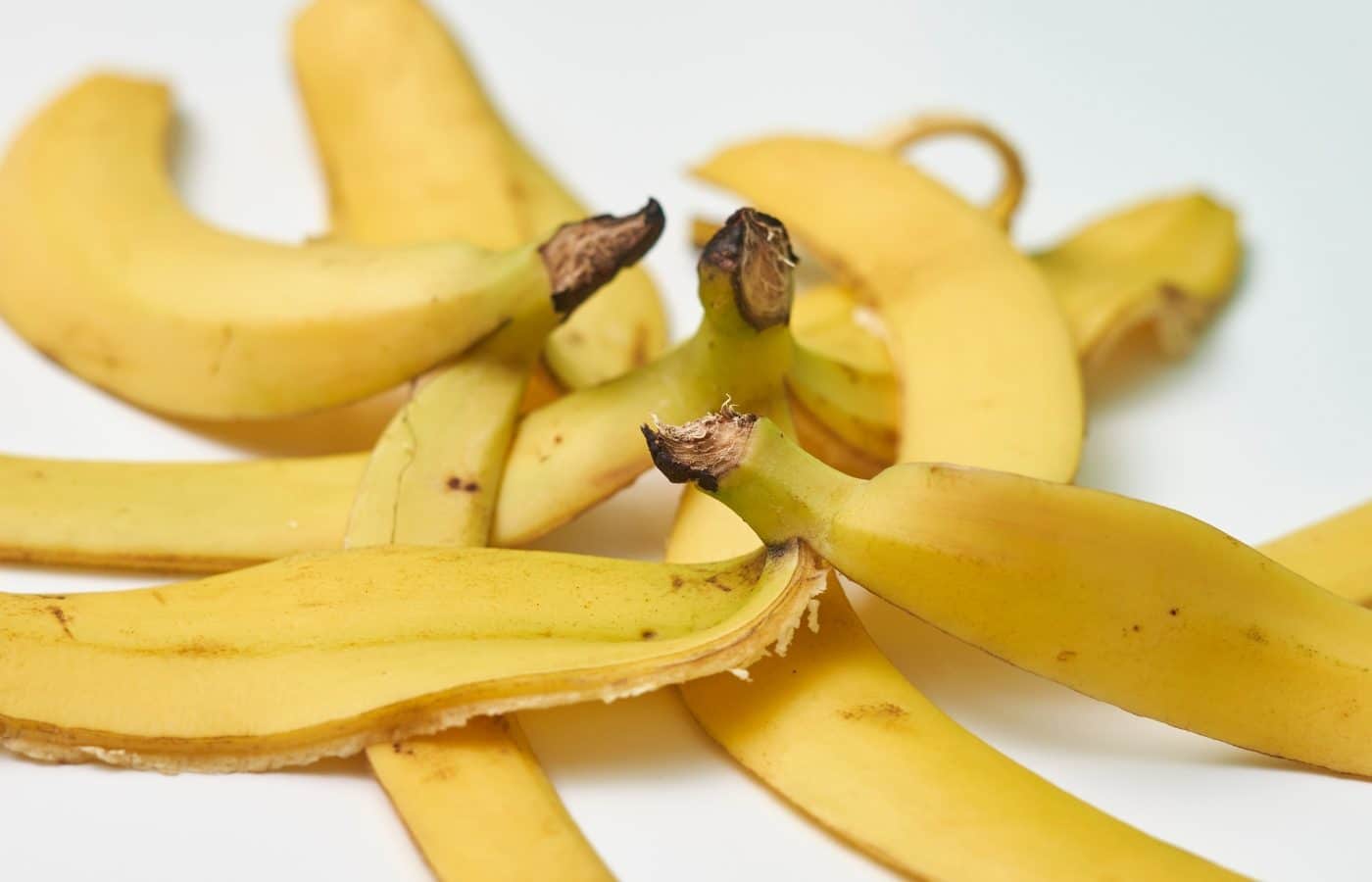 Pelures de banane fra&icirc;ches sur un plan de travail en bois