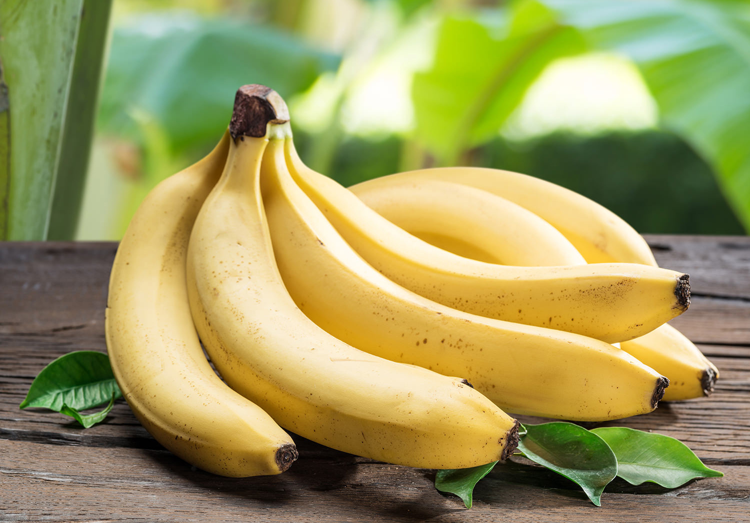 Banane posée sur un tissu, aliment riche en potassium