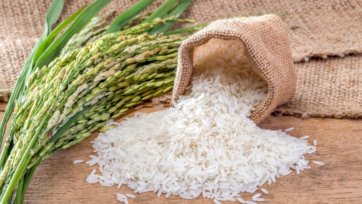 Riz cru dans un bol en céramique