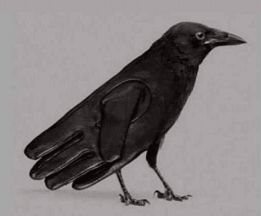 Illustration d'un corbeau perché sur une branche