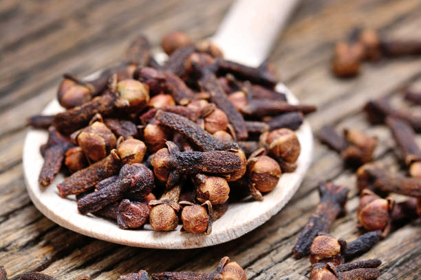 Infusion de clous de girofle dans une tasse