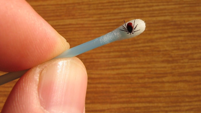 Matériel de prélèvement et de précaution à utiliser