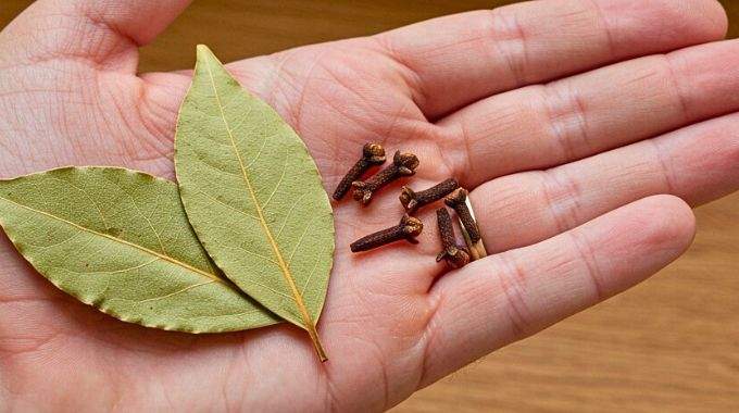 Mélange d'épices et de feuilles séchées pour la préparation de l'huile capillaire