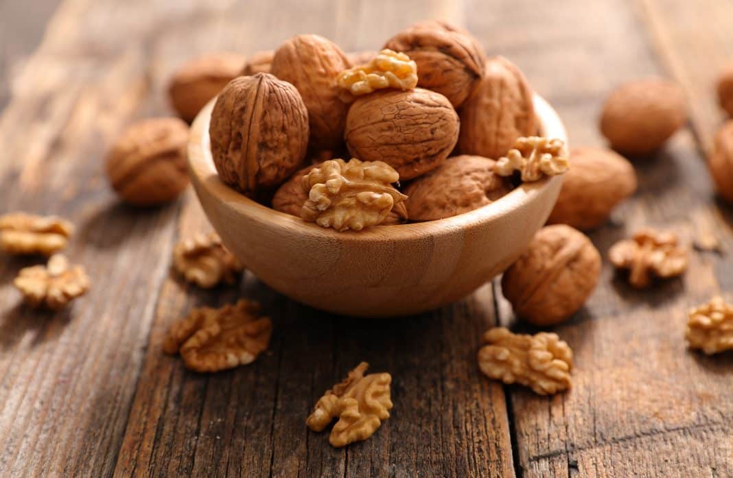 Des cerneaux de noix fra&icirc;chement sortis de leur coquille