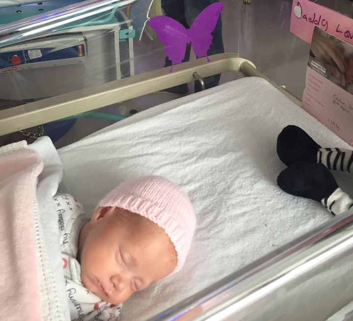 Autocollant de papillon violet appos&eacute; sur une couveuse ou un berceau en milieu hospitalier