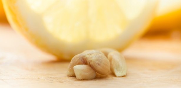 P&eacute;pins de citron utilis&eacute;s pour un soin capillaire