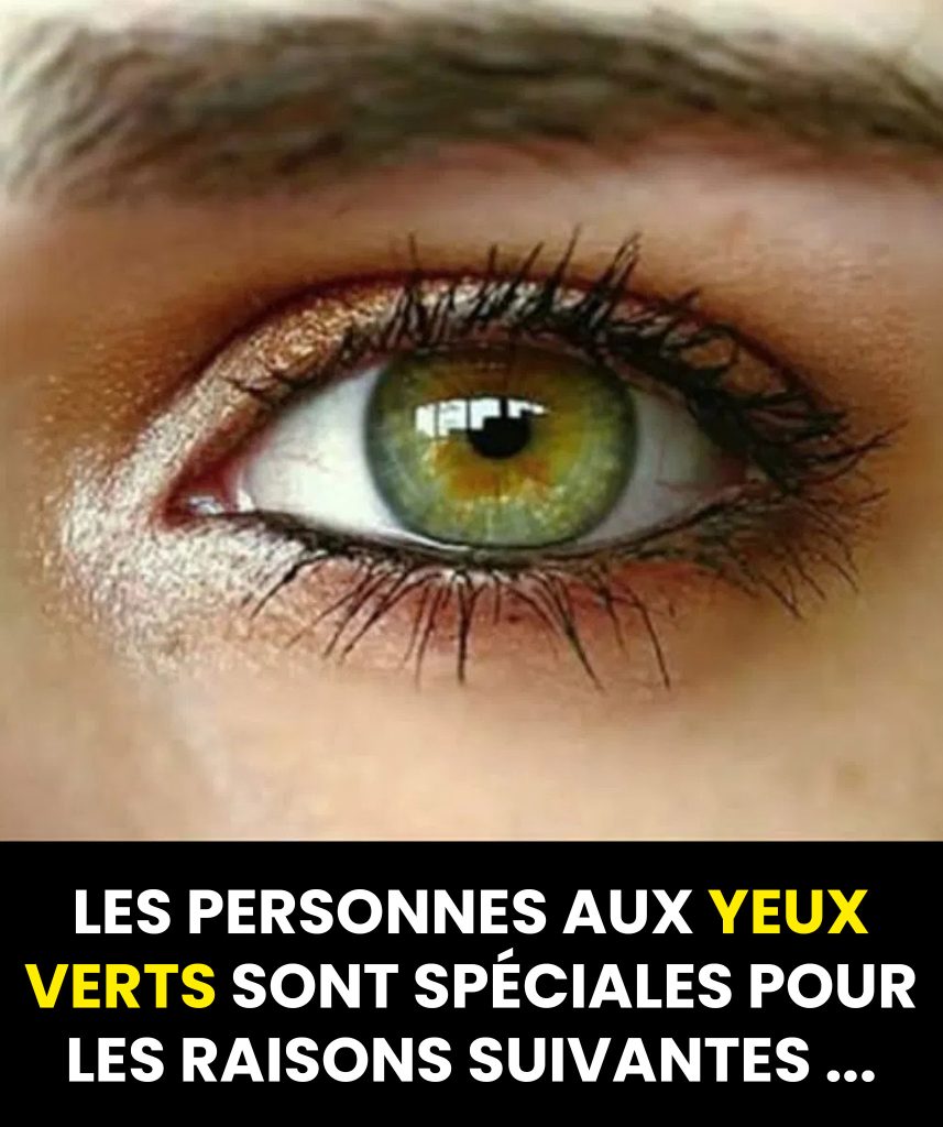 Le mystère captivant des yeux verts : une rareté génétique qui fascine ...