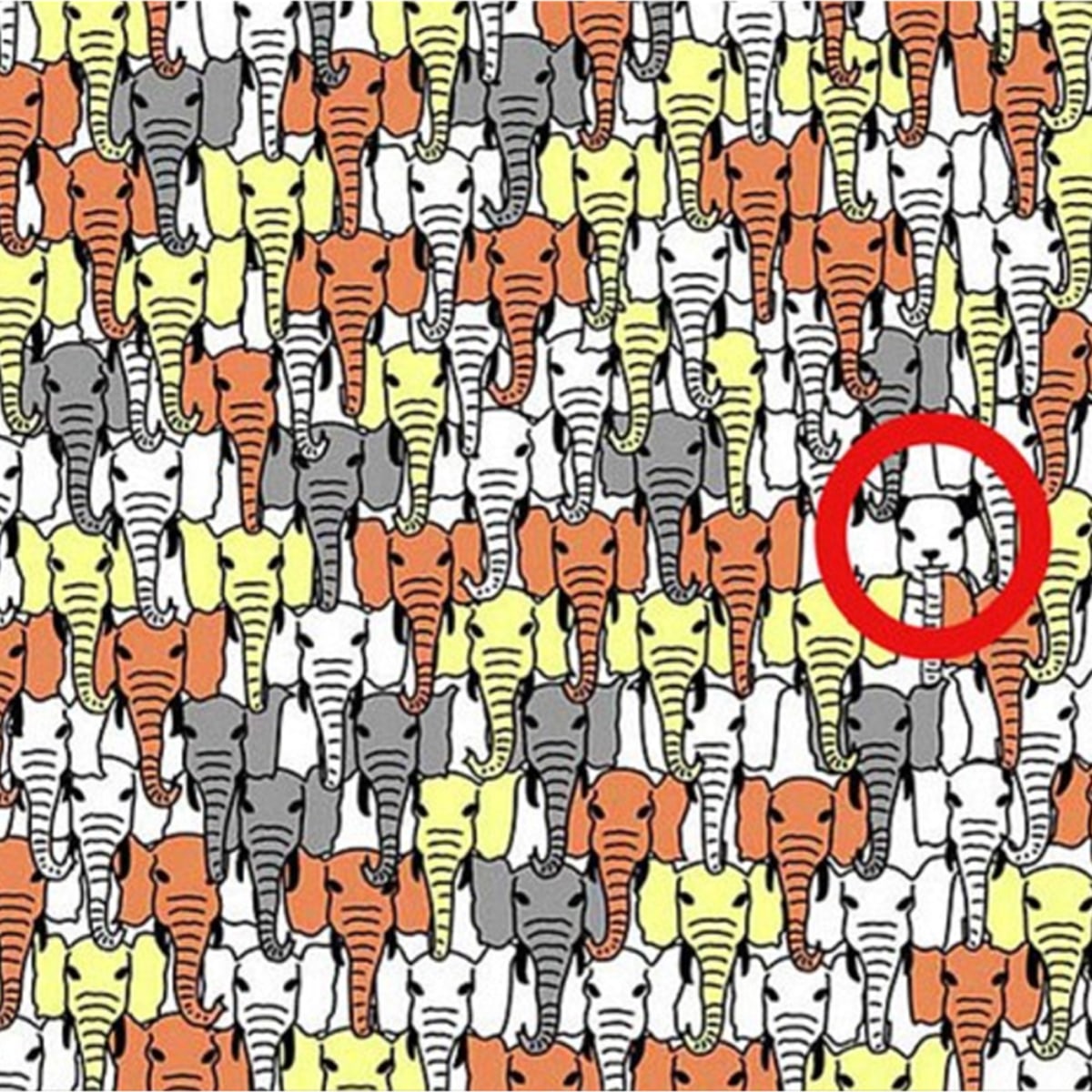 D&eacute;tail de l'image du puzzle montrant des &eacute;l&eacute;phants color&eacute;s