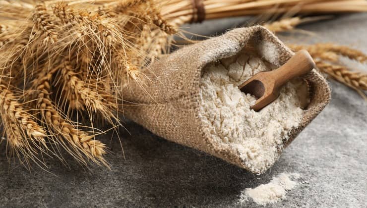 Sachet de farine de blé et cuillère en bois